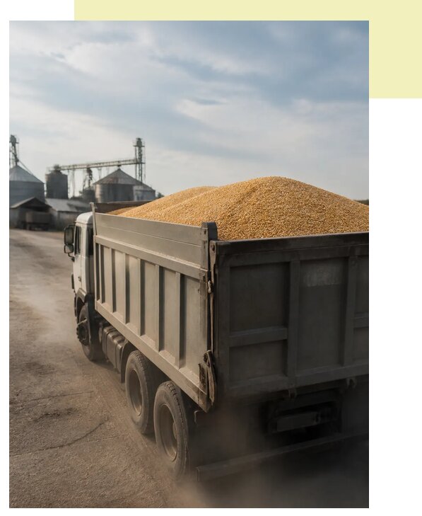 Перевозка сельхозпродукции навалом в Кушву по цене от 3080 р. | Агросервис-Кшв